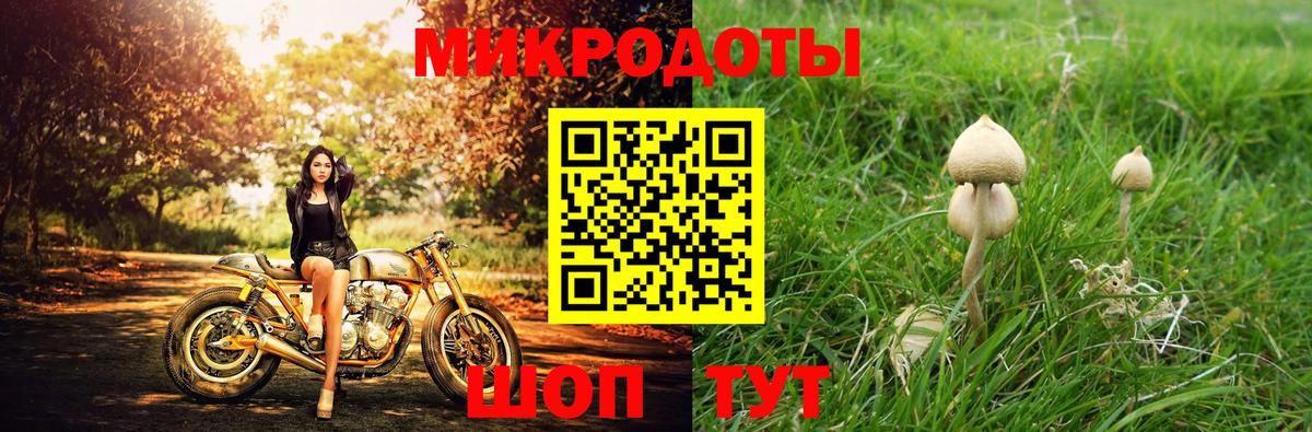 Галлюциногенные грибы ЛСД Гудермес